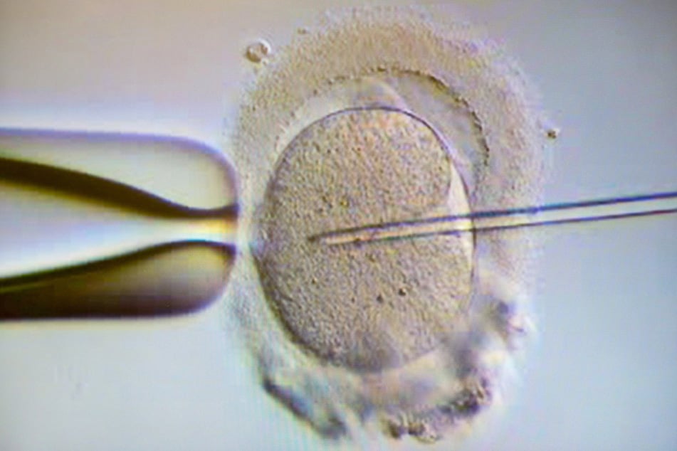 Als ihr Sohn per DNA-Test mehr über seine Abstammung erfahren wollte, stieß er auf die unvorstellbare Wahrheit. (Symbolfoto)