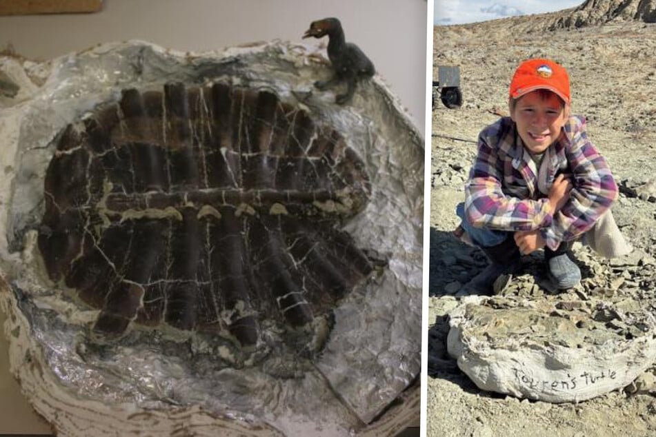 Touren posiert für ein Foto mit dem von ihm entdeckten versteinerten Schildkrötenpanzer.