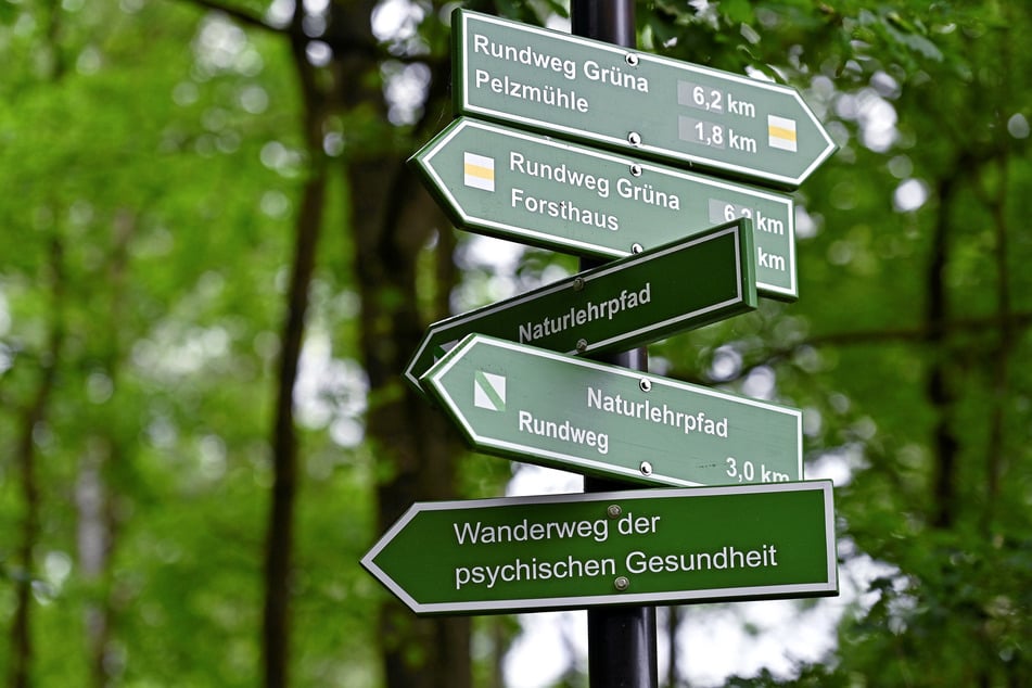 Der neue Therapieweg ist am Wegweiser ausgeschildert.