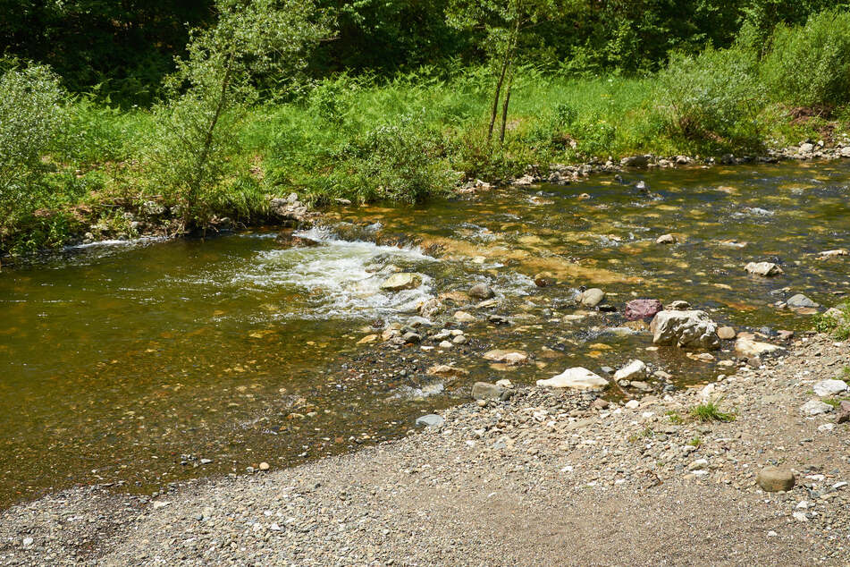 Der Lochbach soll ein naturnaher Ort werden. Teile der bestehenden Verrohrung werden zurückgebaut. (Symbolbild)