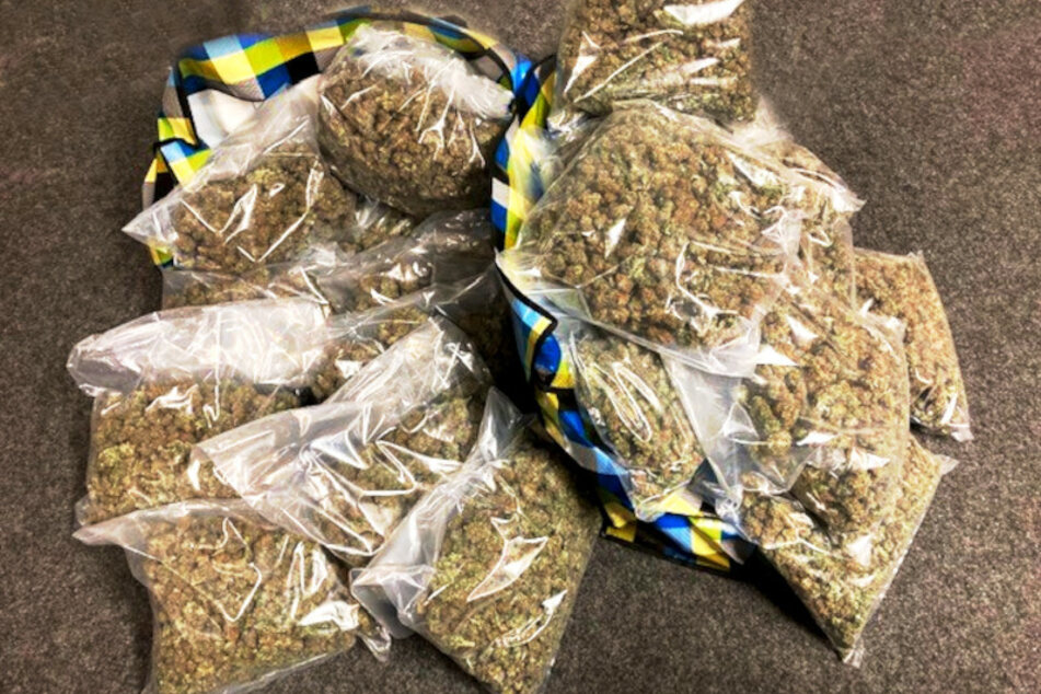 Zöllner haben 23 Kilogramm Marihuana sichergestellt.