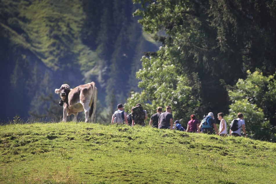 Urlaub "dahoam" kann auch schön sein, besonders in Bayern. Wandern, Natur, Entspannung: Hier ist für jeden etwas dabei.