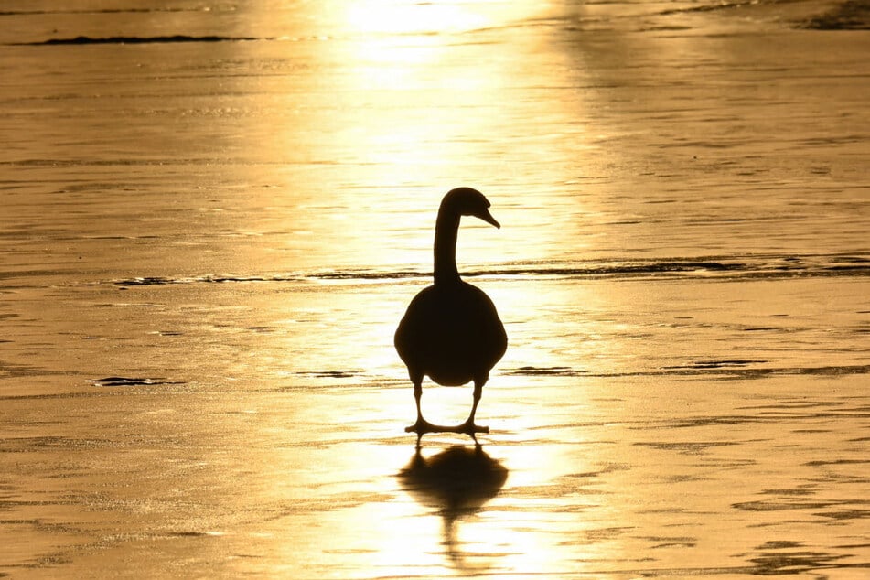 Der (Sonnen-)Schein trügt: Es wird freundlicher und angenehmer an den Tagen, nachts kehrt aber zum Teil die Glätte zurück.