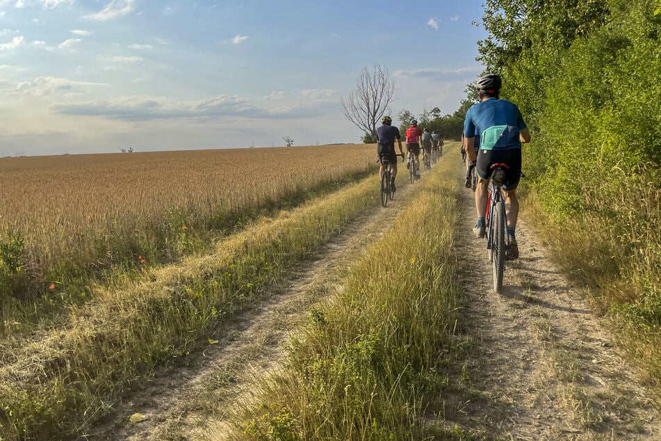 Radsportler fahren mit einem Gravelbike über einen Feldweg in Nordsachsen. Ein Gravelbike ist ein Rennrad für das Befahren unbefestigter Pfade wie Schotter- und Waldwege.