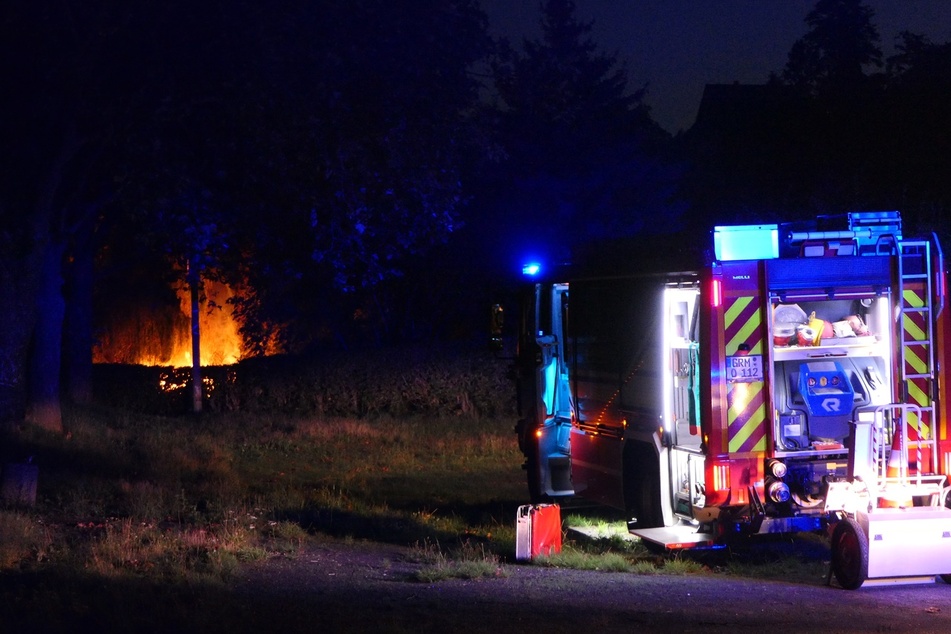 Die Freiwillige Feuerwehr Grimma rückte zur Brandbekämpfung an.
