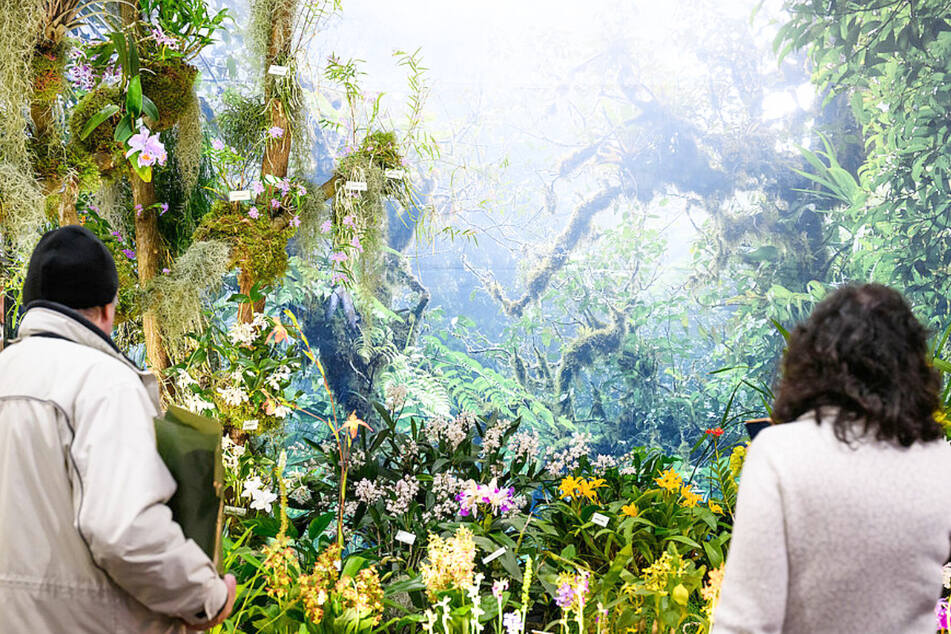 Die größte Orchideenschau Europas in Halle 1 wird viele Besucher zum Staunen bringen.