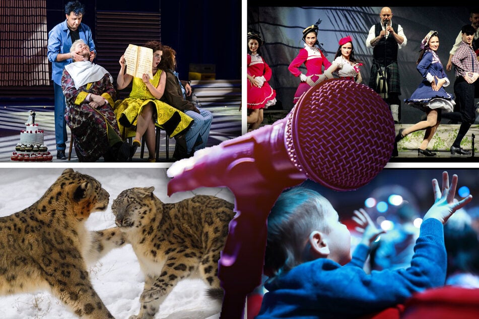 Was macht Ihr am Wochenende? Hier sind sechs Events für Magdeburg