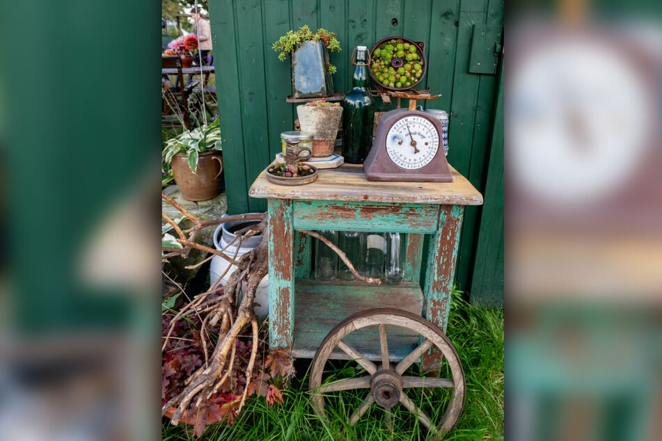Der Garten ist naturnah und liebevoll gestaltet.