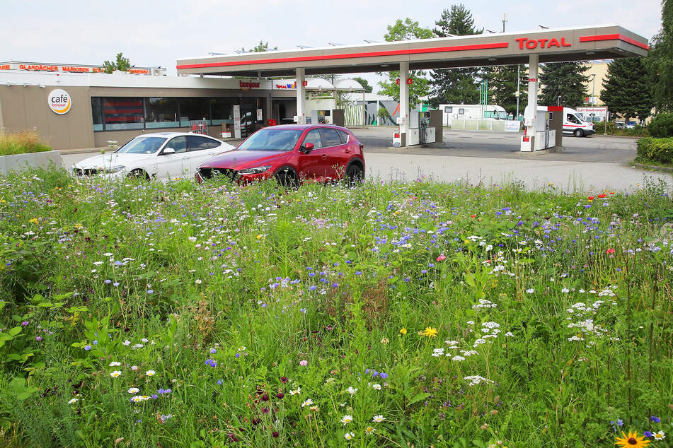 An der "Total"-Tankstelle an der Kesselsdorfer Straße kam es beinahe zu einer Vergewaltigung.