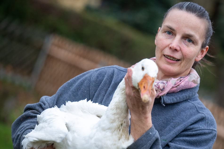 Katrin Seyffert vom Rößler-Hof ist nicht von der Vogelgrippe betroffen. Foto: Kristin Schmidt