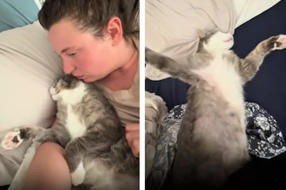 Als ihre Katze minutenlang nicht reagierte, machte sich Rebecca (25) große Sorgen.