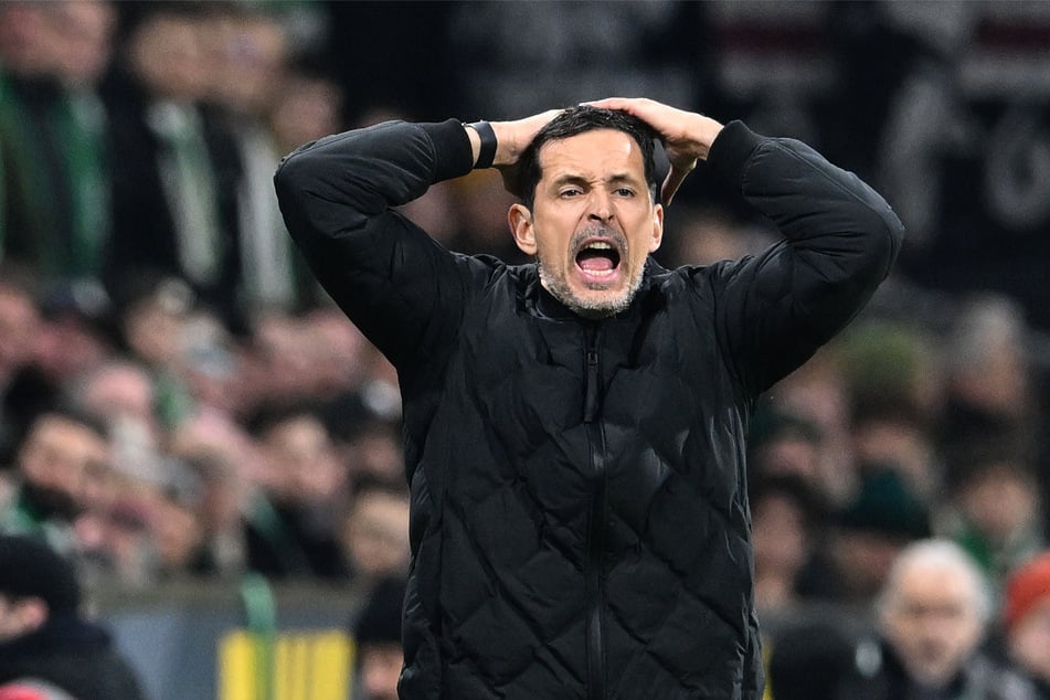 Eintracht Frankfurts Trainer Dino Toppmöller rauft sich die Haare: Kein Wunder nach neun Gegentoren in den vergangenen drei Spielen.