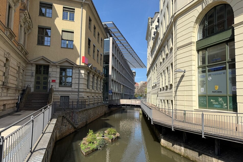 Hier ist die außergewöhnliche Enten-Familie zu finden.