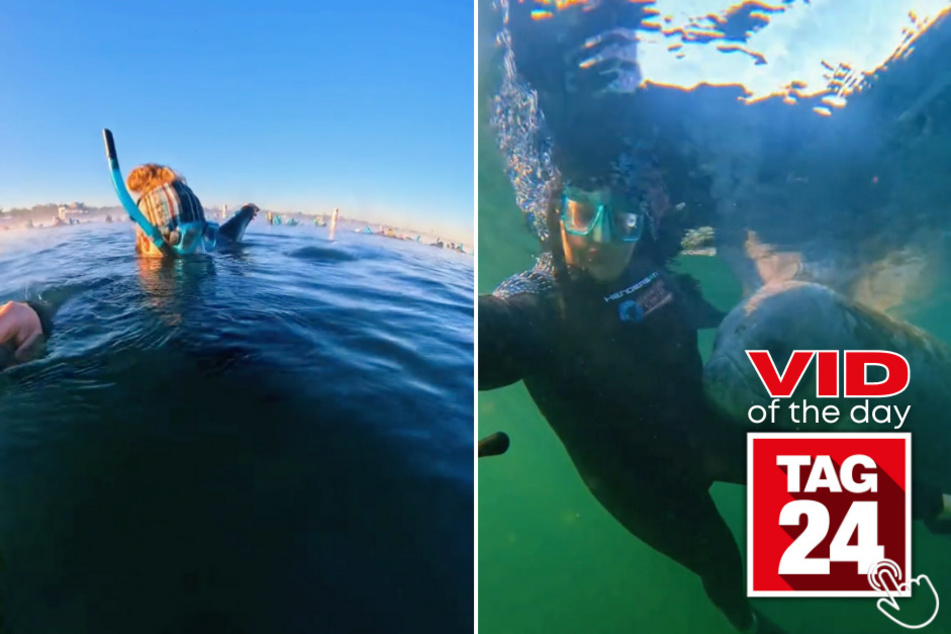 Today's Viral Video of the Day features a woman whose diving trip took an unexpected turn when a large animal swam by her side!