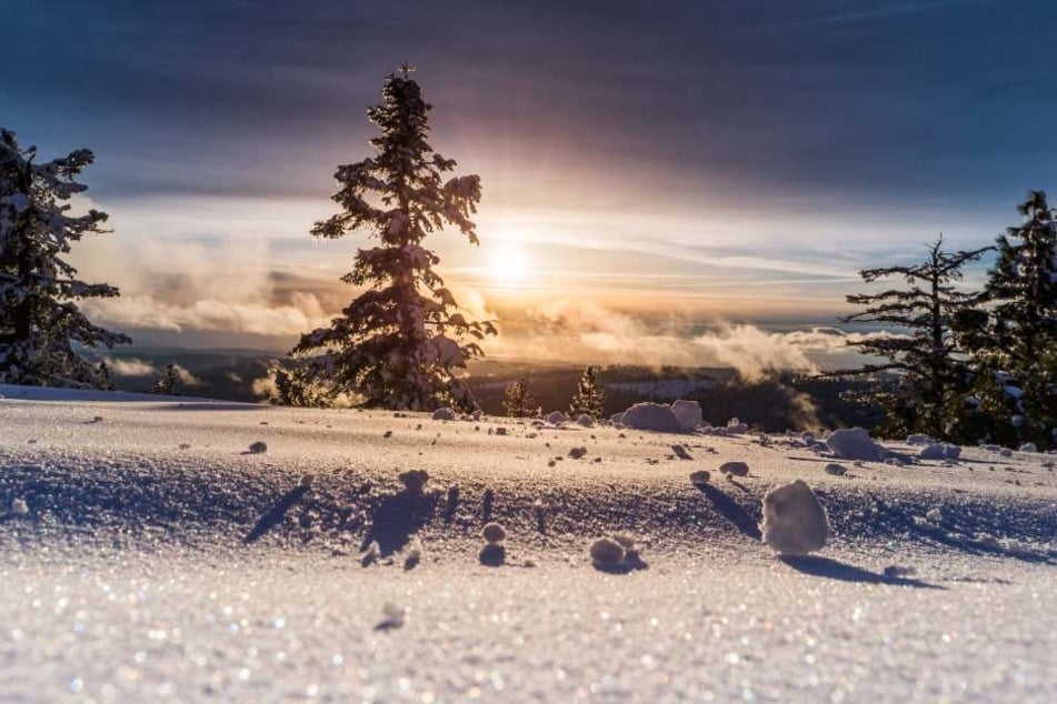 Traumhafte Winterlandschaft: Ob es so auch zu Weihnachten im Freistaat aussieht? Die Chance wird von Jahr zu Jahr geringer, doch sie ist da.