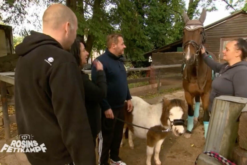 Abnehmen ist kein Ponyhof: Aber auch reiten kann anstrengend sein.