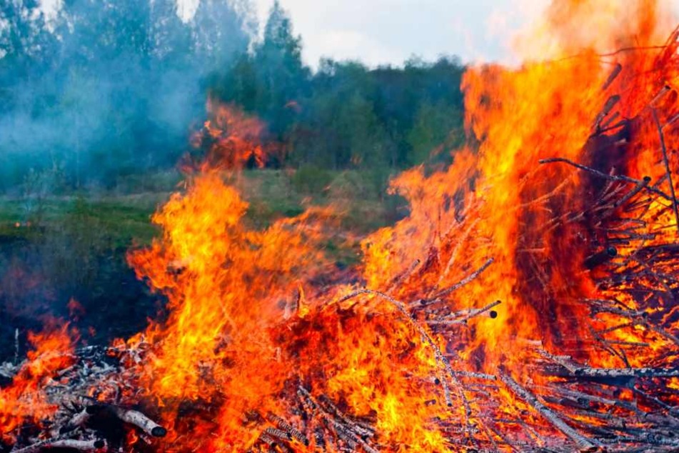 Die Waldbrandgefahr bleibt weiterhin hoch. (Symbolbild)