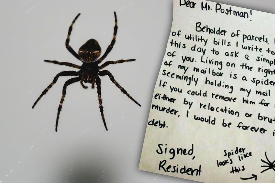Resident leaves note for postman after spider "holds mail hostage"