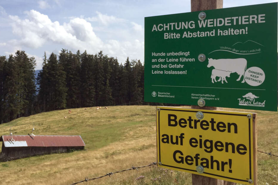 Ein Schild auf dem Blomberg warnt vor dem Betreten einer Kuhweide.