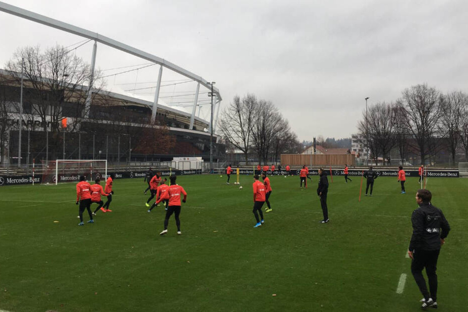 Ein Blick auf die VfB-Kicker im ersten Training unter ihrem neuen Coach Pellegrino Matarazzo.