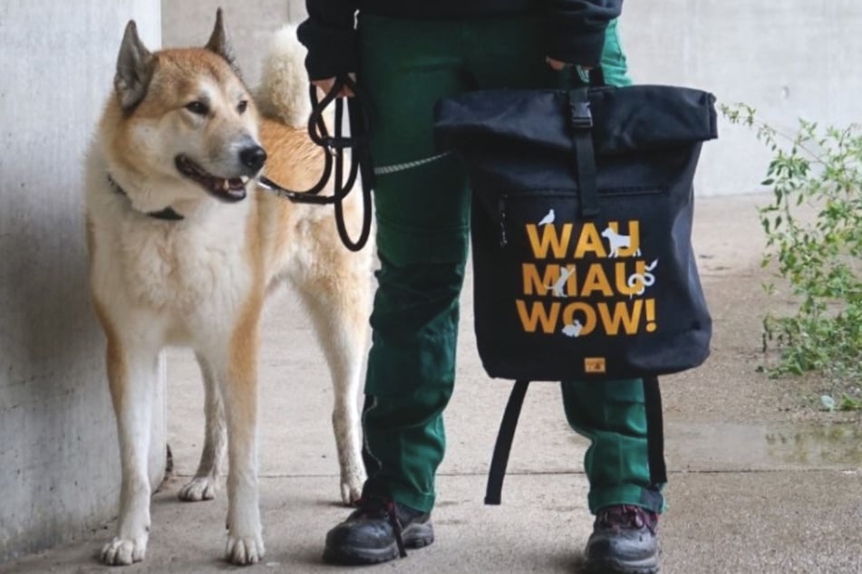 Im Onlineshop des Berliner Tierheims können tolle Rucksäcke gekauft und somit den Schützlingen geholfen werden.