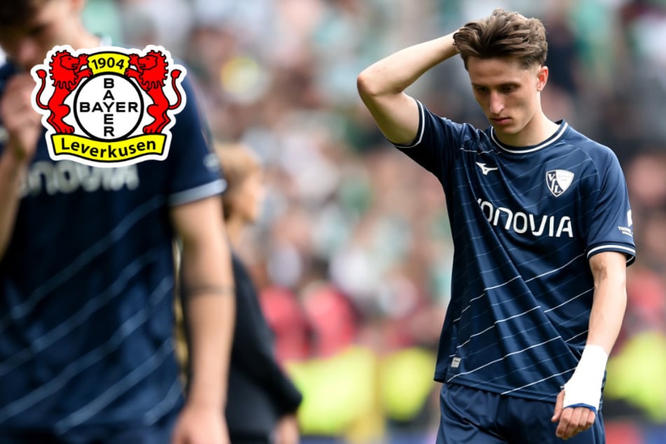 Bayer 04 will diesen Bochum-Verteidiger: Das hat der 1. FC Köln damit zu tun