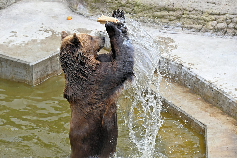 Benno freute sich über ein Leckerchen.