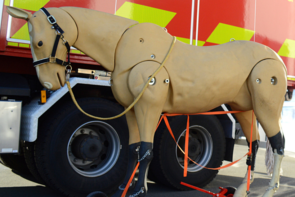 Ein Pferd aus Plastik steht auf Rollen vor einem Fahrzeug der Tierrettung des Kreisfeuerwehr-Verbandes Kelkheim.
