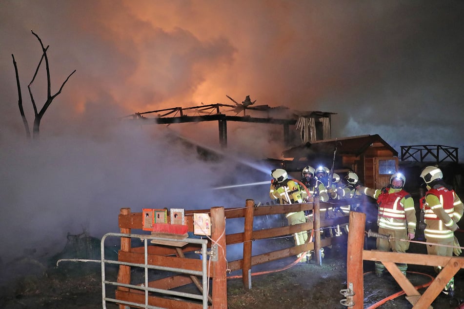 An Heiligabend war die Dresdner Feuerwehr auf der Kinder- und Jugendfarm "Spielwiese" in Weißig im Großeinsatz.