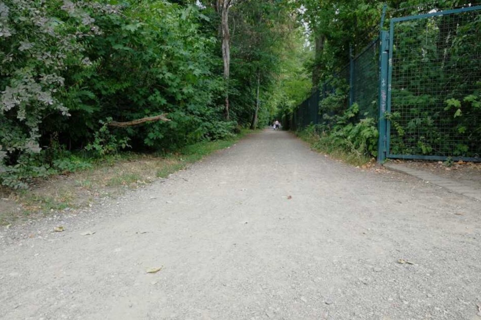 Anschließend bog sie in diesen Weg ein, lief weiter bis zum Gohliser Schlösschen. Unweit dessen begegnete sie ihrem Vergewaltiger.