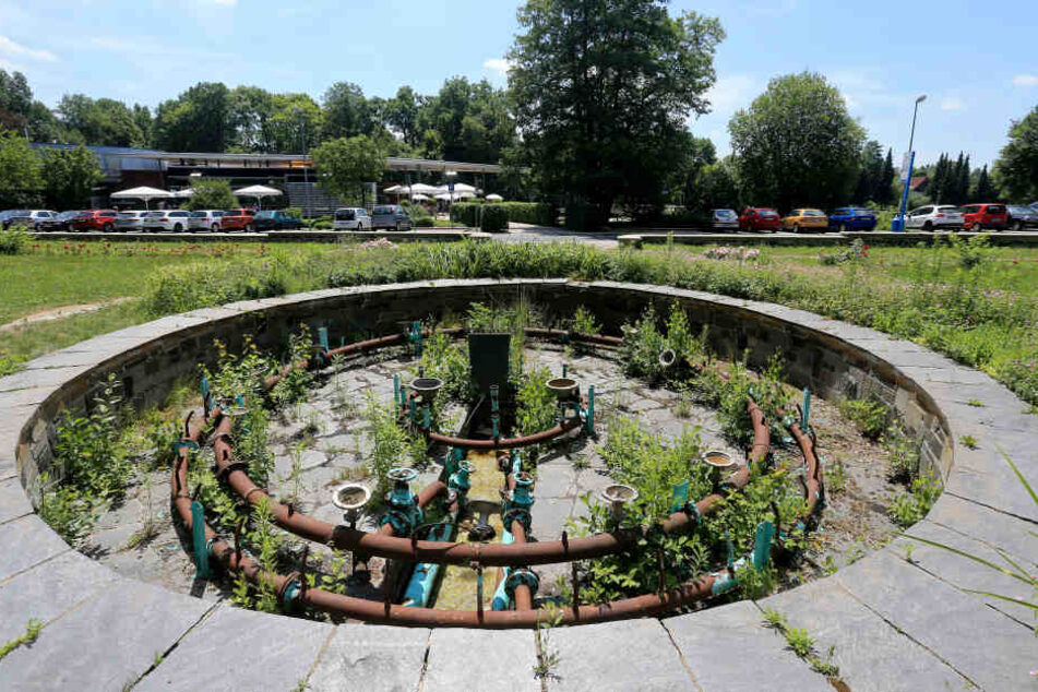 Der Brunnen an der Pelzmühle rottet vor sich hin. Vor 17 Jahren drehte das Rathaus das Wasser ab. Die Sanierung würde 160 000 Euro kosten.