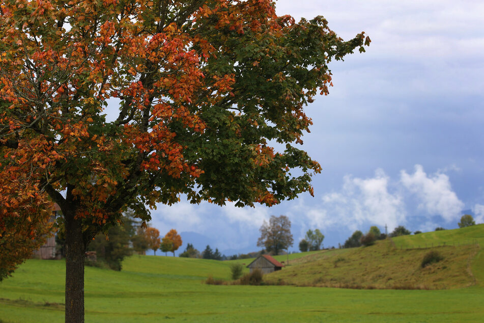 Viele Wolken, teils kräftiger Regen und frische Temperaturen - die neue Woche beginnt in Bayern mit Herbstwetter. (Symbolbild)