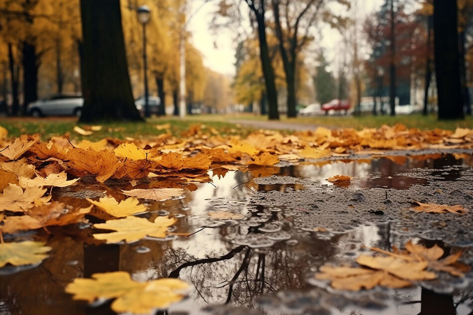 Der Herbst zeigt sich von seiner kalten und nassen Seite.