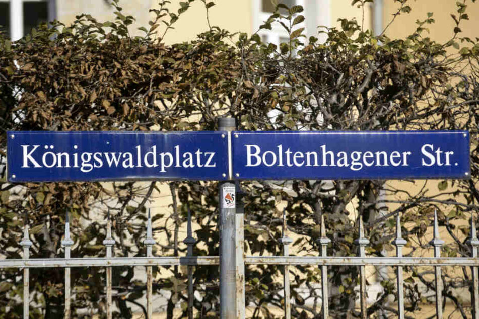 Dresdens jüngster Zebrastreifen wurde am Königswaldplatz in Klotzsche eingeweiht.
