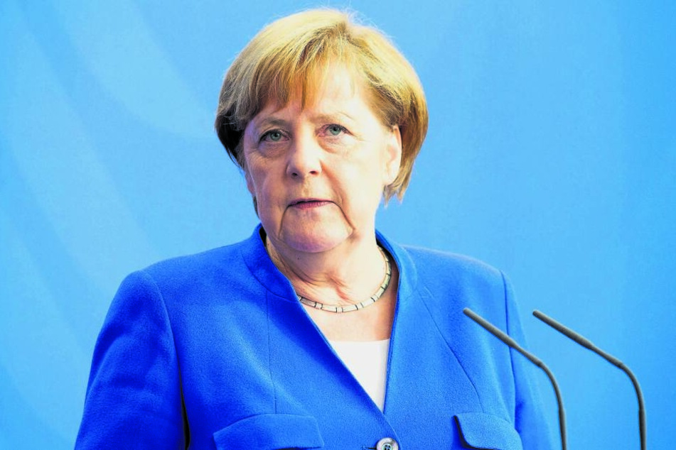 Kanzlerin Angela Merkel (64, CDU) will zwischen Umwelt- und Landwirtschaftsministerium vermitteln. Beide Ressorts sind für den Wolf-Abschuss zuständig.