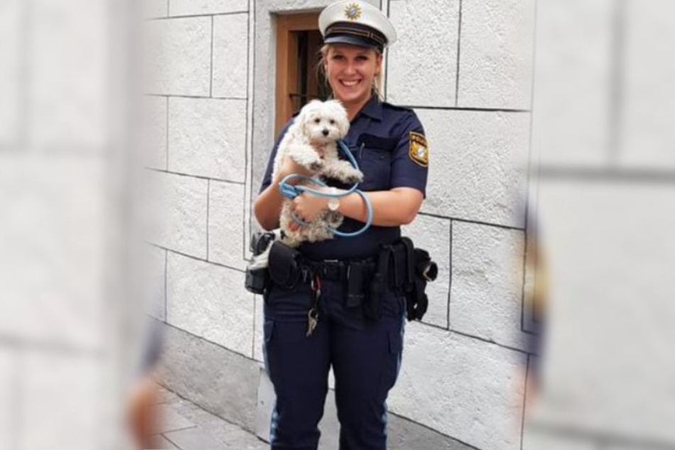 Die Polizei konnte den armen Vierbeiner aus seiner gefährlichen Lage befreien.