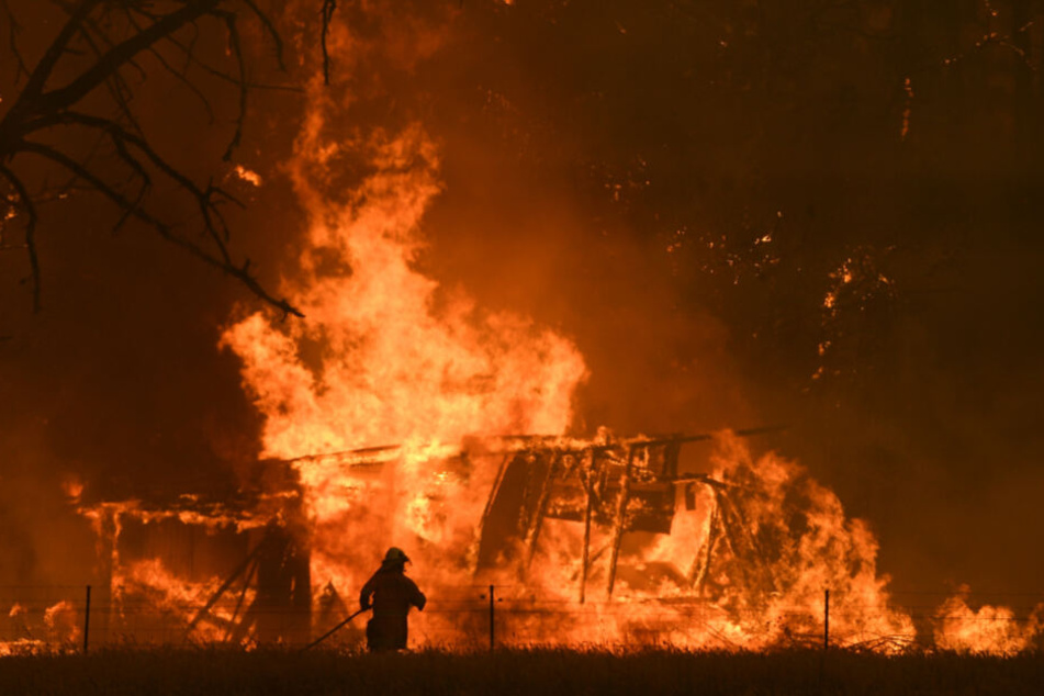 Ende Dezember 2019: Ein Feuerwehrmann bekämpft die Flammen des "Gosper Mountain"-Feuers, die ein Gebäude in Bilpin erreicht haben.
