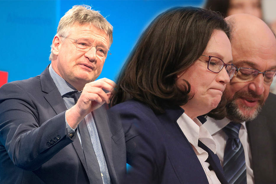 AfD-Chef Meuthen: "SPD macht es uns wirklich leicht"