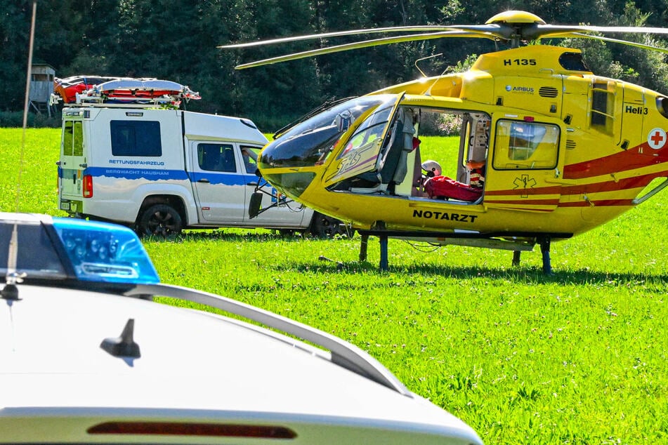 Hornissen-Angriff löst Großeinsatz aus! Wanderer zeigt schwere Reaktion, Retter attackiert
