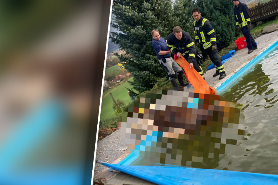 Feuerwehr macht große Augen: Was schwimmt denn hier im Pool?