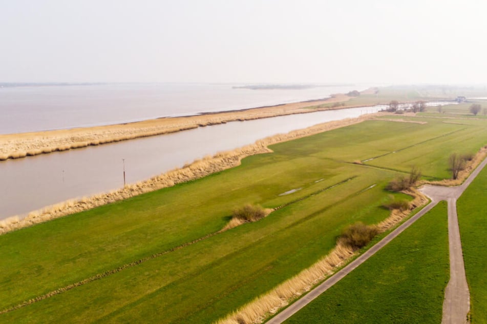 Noch ist bei Drochtersen nur Deichvorland und Elbe zu sehen, doch irgendwann soll hier ein Tunnel der A20 gebaut werden.