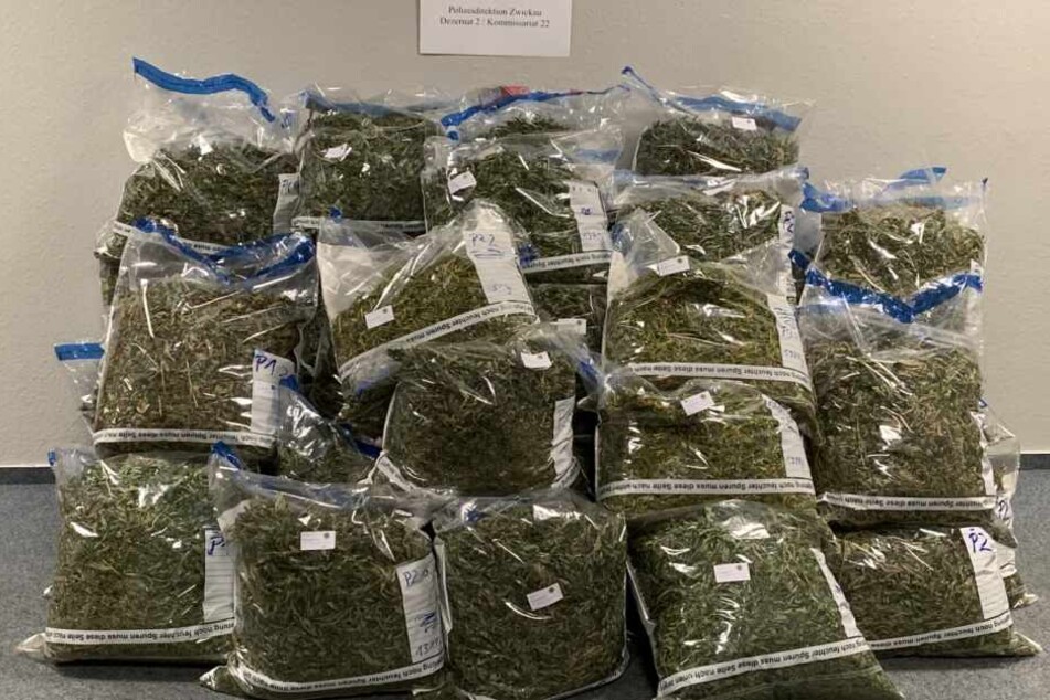 Die abgeernteten Cannabispflanzen füllen insgesamt 42 Säcke (Größe: 63,5 x 80 Zentimeter).