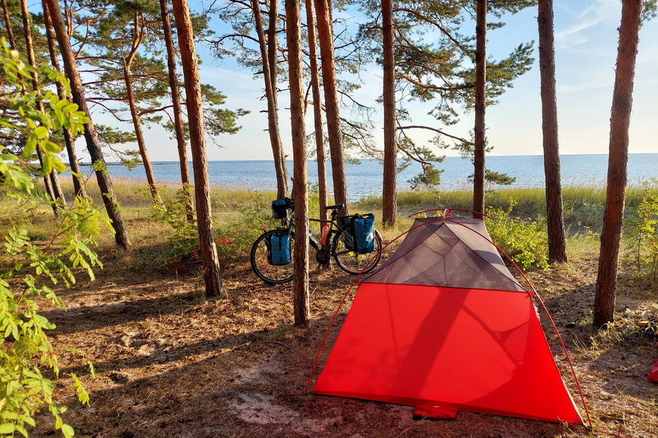 Ein Camp in einer einsamen Gegend (hier in Estland) - manchmal wird es einem schon etwas mulmig.