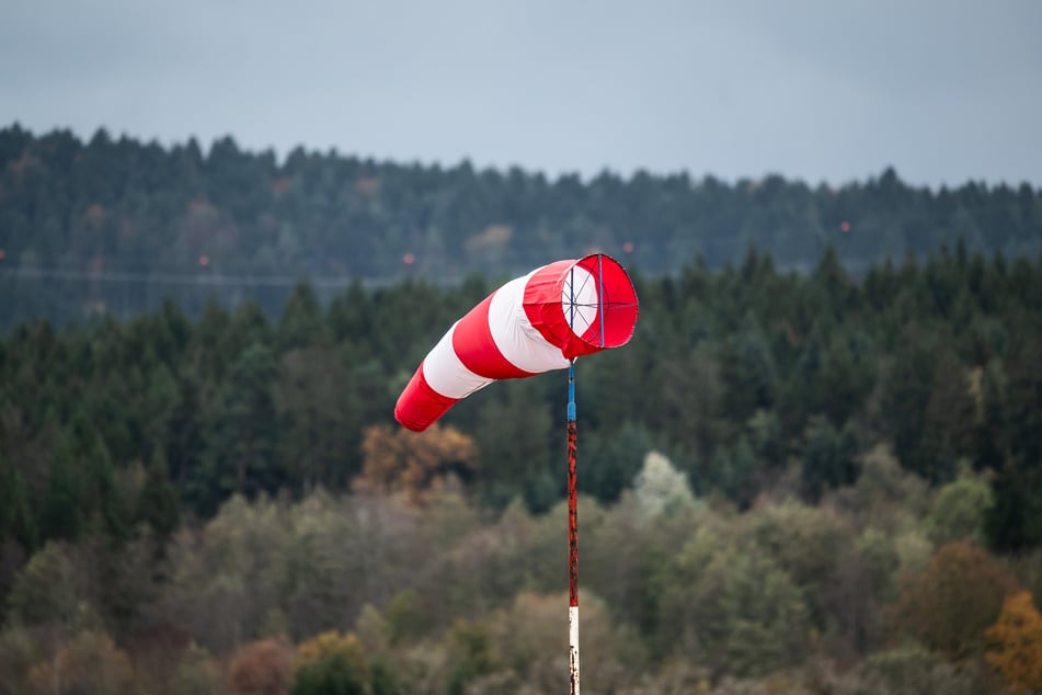 Im Verlauf der Woche nimmt der Wind zu und sorgt für stürmische Böen überall im Freistaat. (Symbolbild)