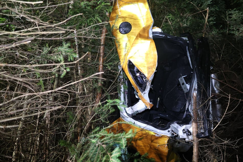 Goldenes Auto kommt von Autobahn ab und kracht durch Wildschutzzaun: Zwei Schwerverletzte