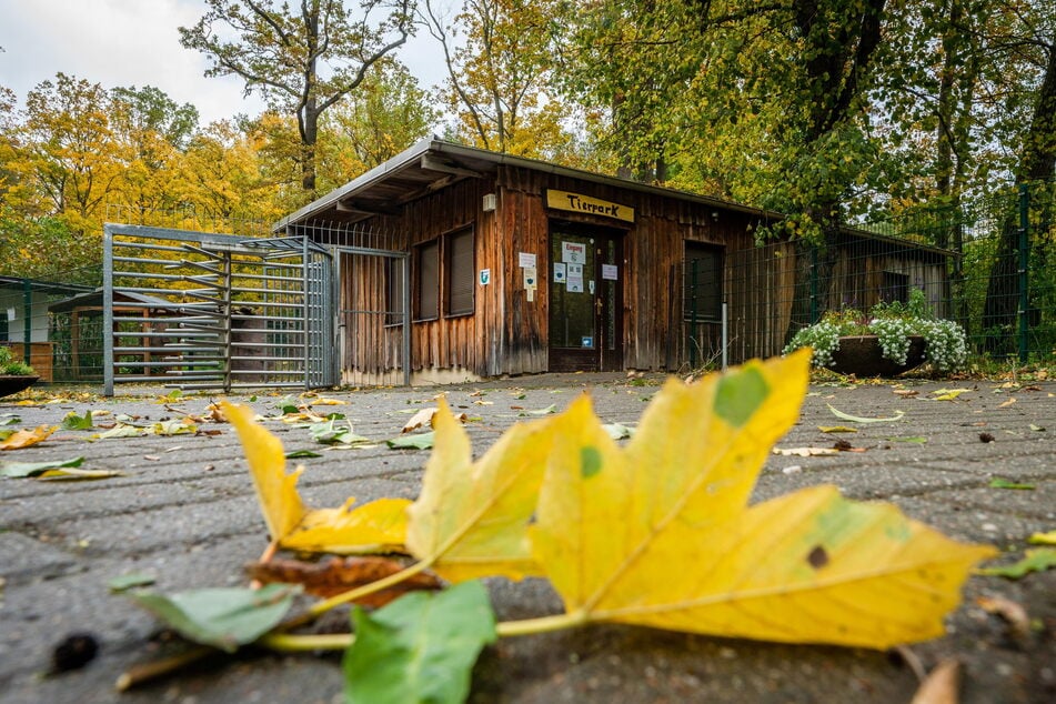 Ursprünglich sollte der Tierpark einen großzügigen Eingang bekommen - doch dafür fehlt das Geld.