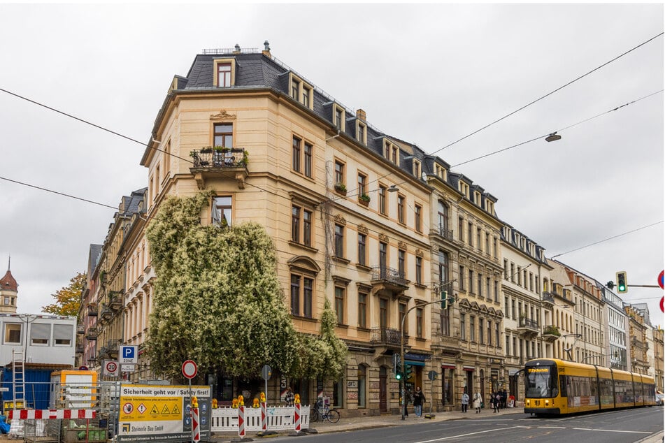 Der grüne Knöterich überwuchert schon Fenster und Balkone, ist aber von Anwohnern geduldet.