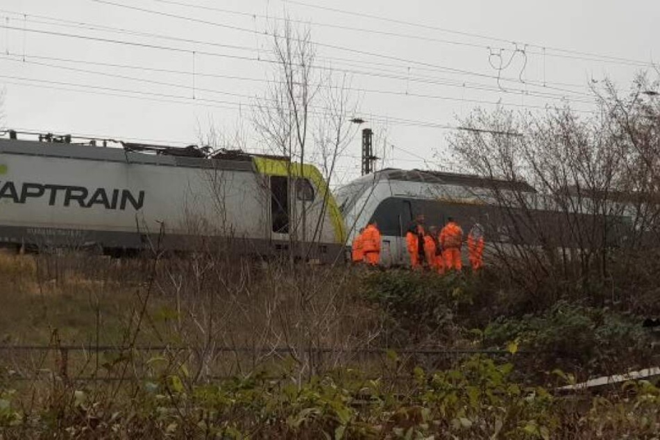 Fünf Fahrgäste der S-Bahn wurden verletzt.