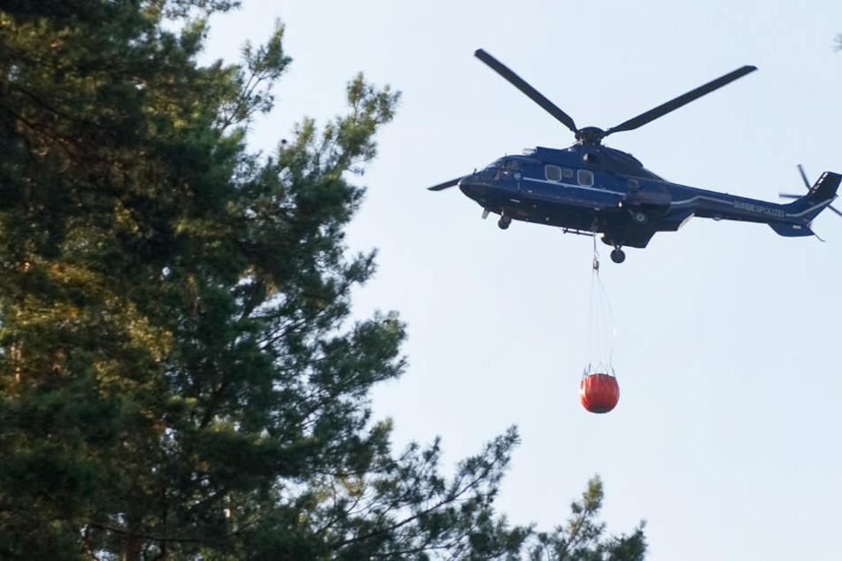 Im bayerischen Nationalpark kommt ein Hubschrauber zum Einsatz. (Symbolbild)