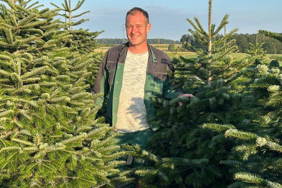 Bei Unternehmer Michael Harzendorf (42) in Frauendorf waren die meisten Bäume nicht betroffen.